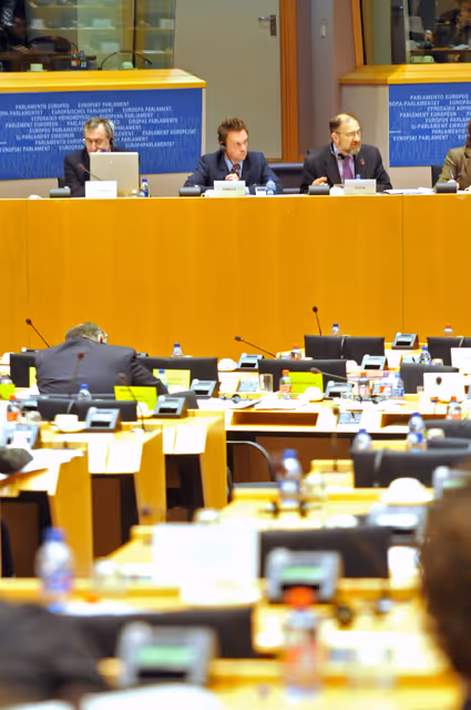 Foto 42: IMCO committee meeting on Towards a European Charter on the Rights of Energy Consumers.