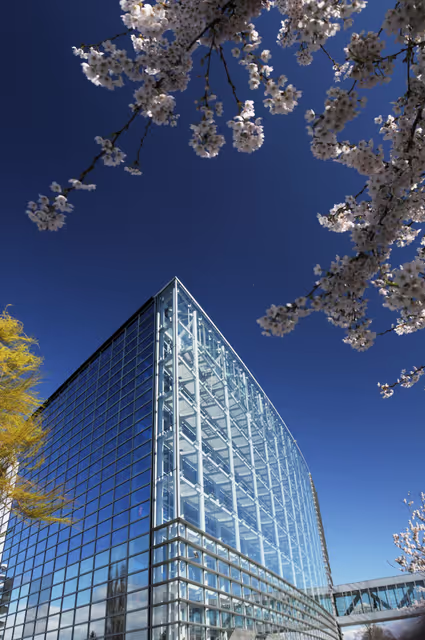 Снимка 6: Outside view on the European Parliament building Louise Weiss in Strasbourg - LOW