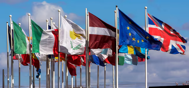 Photo 40: Flags of the country members of the European Union floating in the wind in 2008
