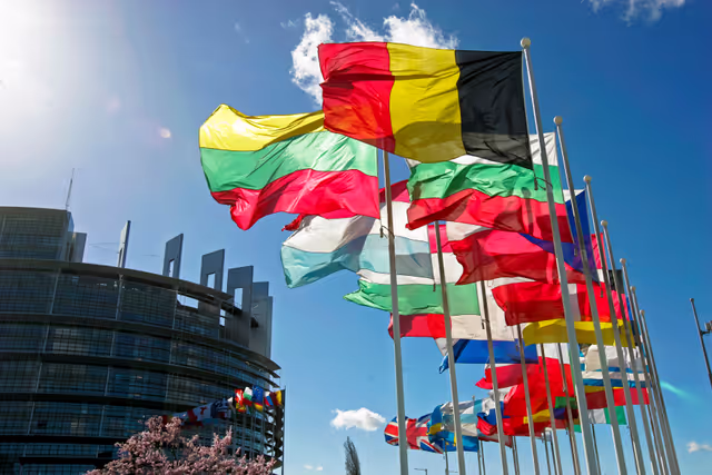 Photo 43: Flags of the country members of the European Union floating in the wind in 2008