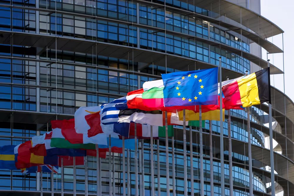 Flags of the country members of the European Union floating in the wind in 2008