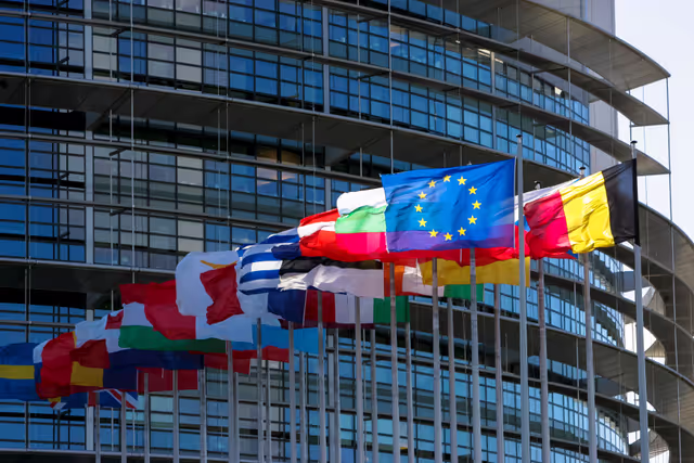 Photo 42: Flags of the country members of the European Union floating in the wind in 2008