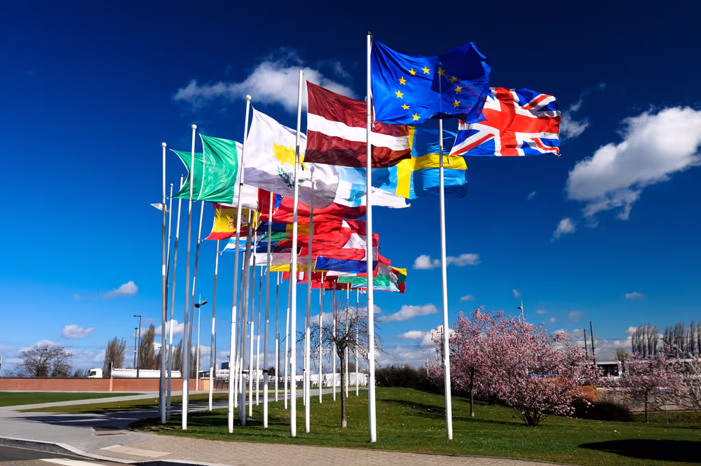 Flags of the country members of the European Union floating in the wind in 2008