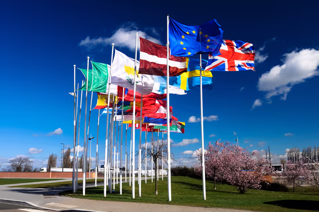 Photo 44: Flags of the country members of the European Union floating in the wind in 2008