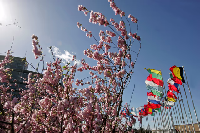 Photo 11: Flags of the EU member states in front of the EP in Strasbourg.