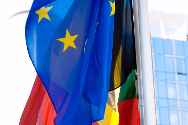Photo 26: Flags of some country members of the European Union floating in the wind