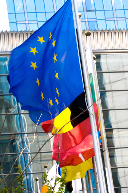 Photo 27: Flags of some country members of the European Union floating in the wind