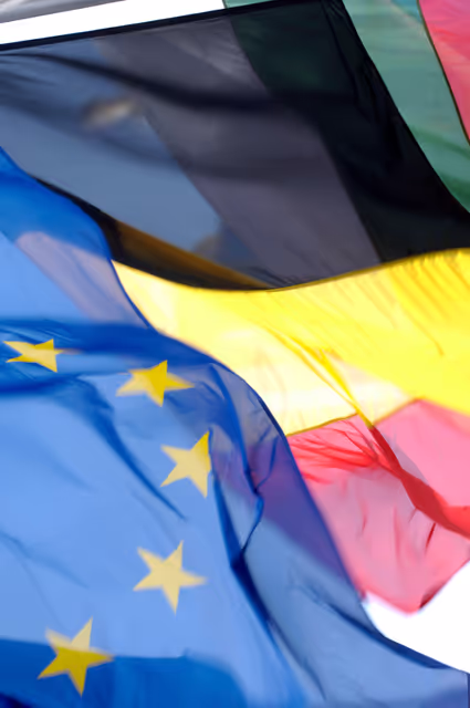 Photo 15: Flags of the EU member states.