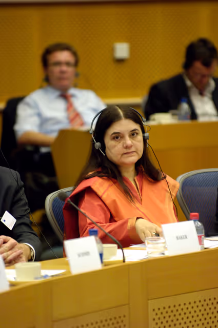 Fotó 10: Energy Globe Awards conference in Brussels