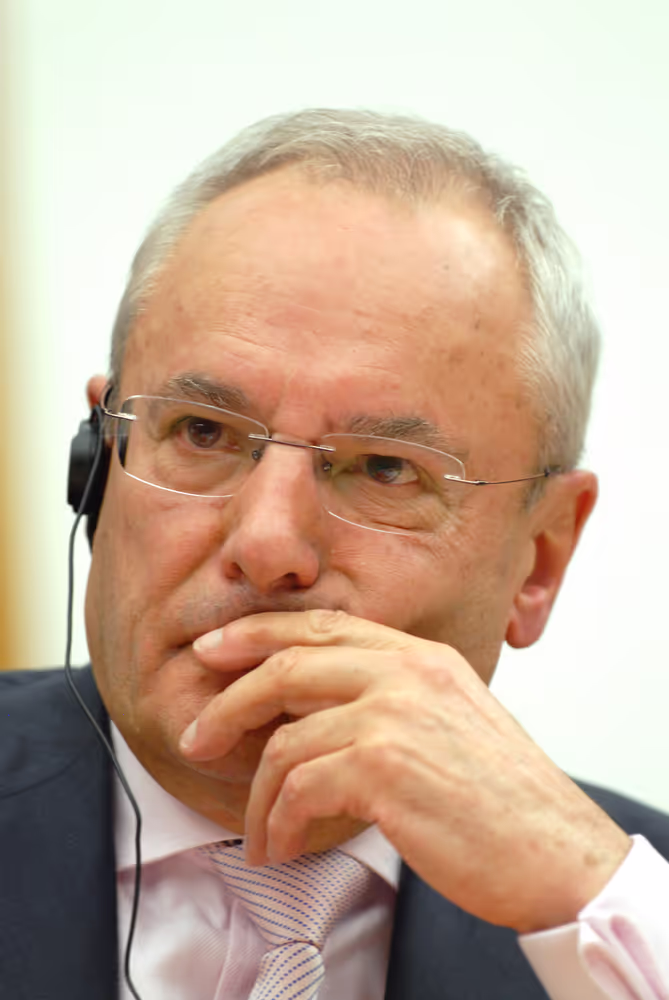 Hearing of the EC Vice-President and Commissioner designate for Justice, Freedom and Security.