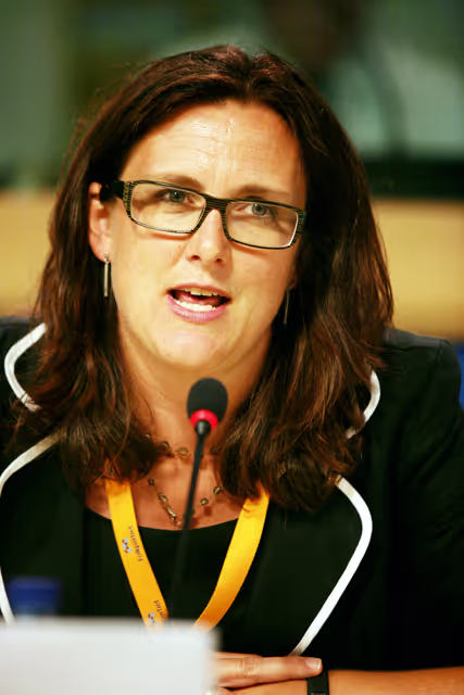 Foto 6: Press conference on the combined programme of the French, Czech and Swedish Presidencies.