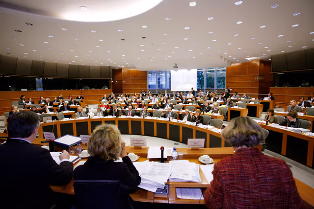 Billede 1: PECH Committee meeting in Brussels
