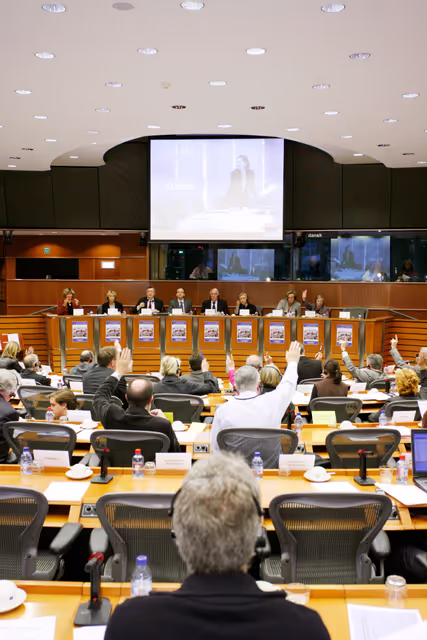 Billede 2: PECH Committee meeting in Brussels