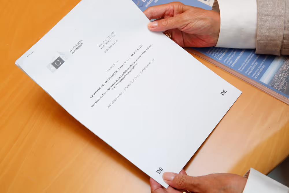 Interview of Birgit COLLIN-LANGEN