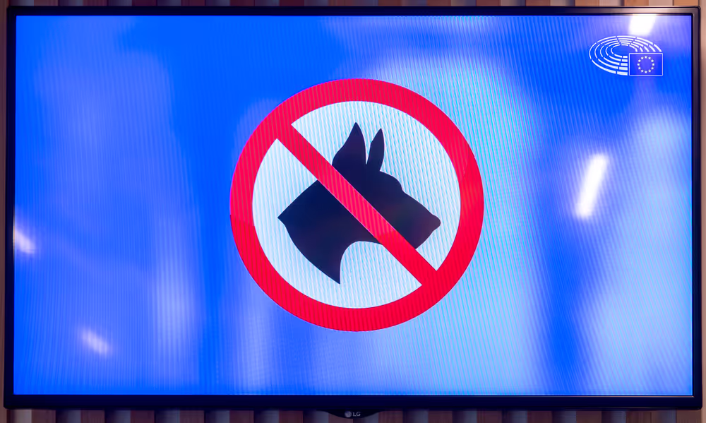 TV screen for security checks