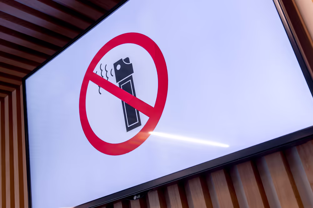 TV screen for security checks