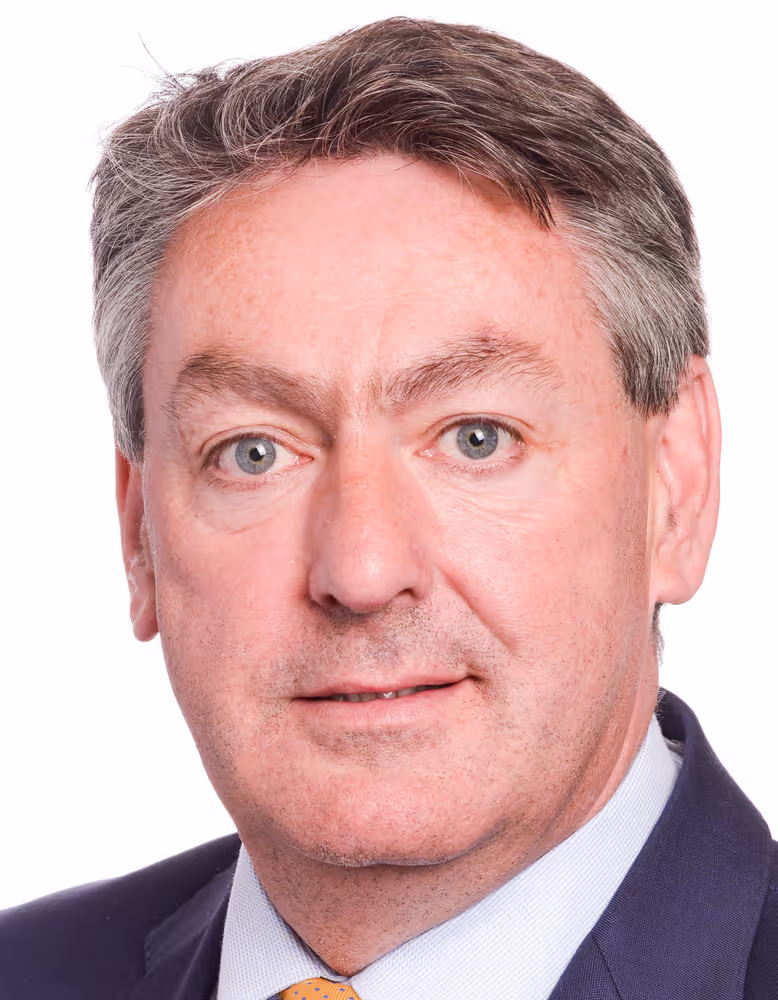 Irish MEPs official portraits - 10th Parliamentary term.