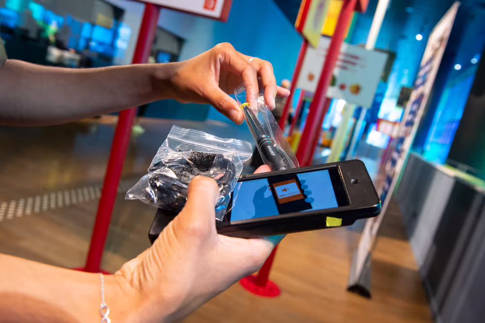 Experience the Parlamentarium in Brussels - reopening during Corona virus