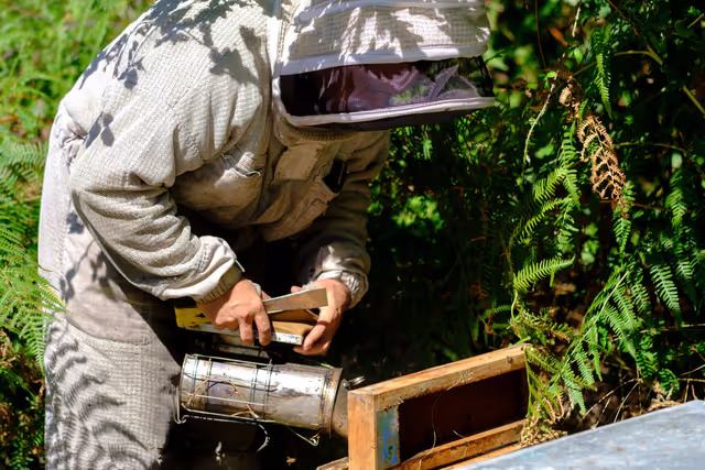 Foto 24: French SME active in beekeeping - Honey producer