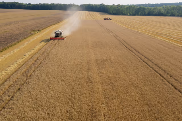 Nuotrauka 14: Barley harvest in Luxembourg, July 22, 2021..
