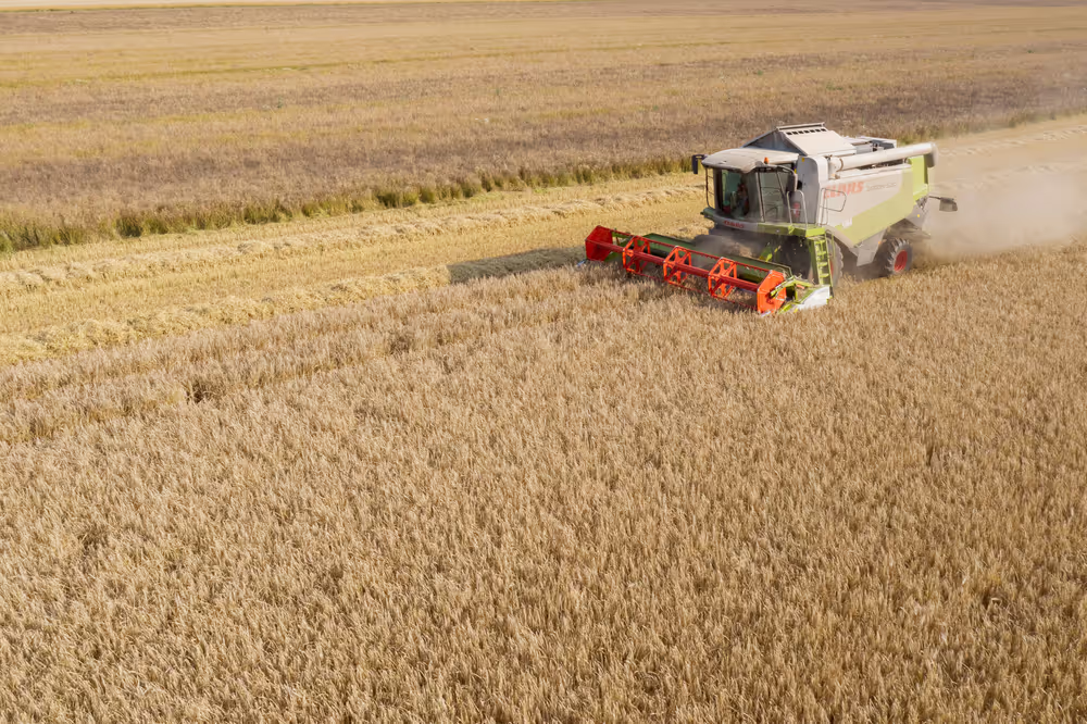 Barley harvest in Luxembourg, July 22, 2021..