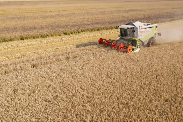 Nuotrauka 10: Barley harvest in Luxembourg, July 22, 2021..