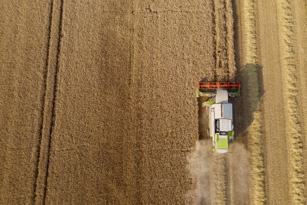 Barley harvest in Luxembourg, July 22, 2021..