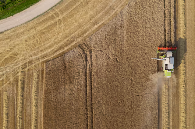 Nuotrauka 5: Barley harvest in Luxembourg, July 22, 2021..