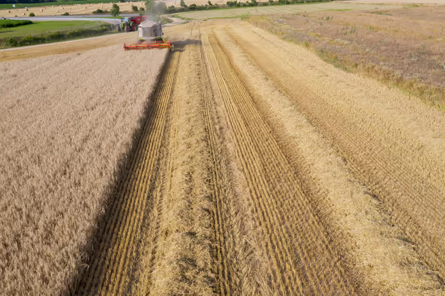 Nuotrauka 4: Barley harvest in Luxembourg, July 22, 2021..
