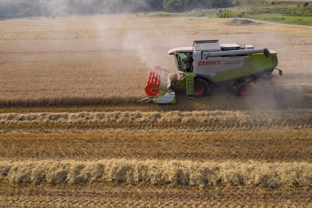 Barley harvest in Luxembourg, July 22, 2021..