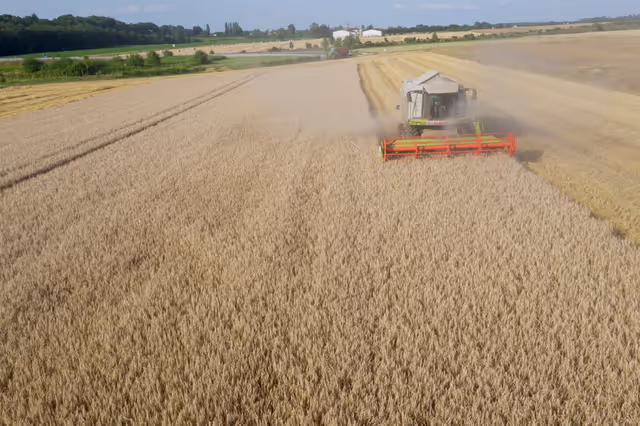 Nuotrauka 25: Barley harvest in Luxembourg, July 22, 2021..