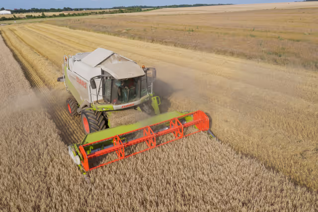 Nuotrauka 2: Barley harvest in Luxembourg, July 22, 2021..