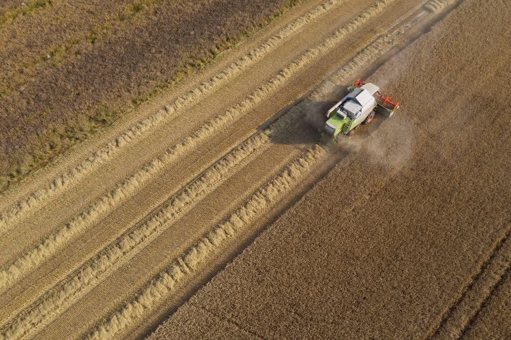 Barley harvest in Luxembourg, July 22, 2021..