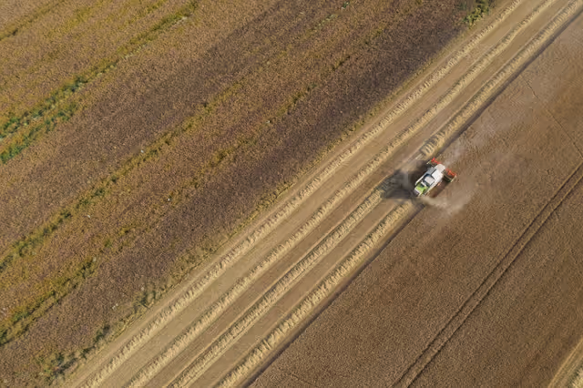 Nuotrauka 24: Barley harvest in Luxembourg, July 22, 2021..