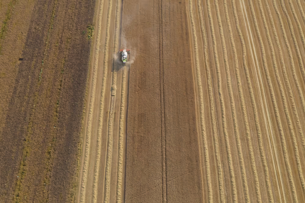 Barley harvest in Luxembourg, July 22, 2021..