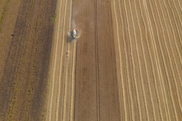 Nuotrauka 16: Barley harvest in Luxembourg, July 22, 2021..