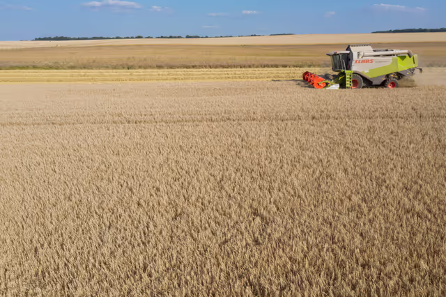Nuotrauka 12: Barley harvest in Luxembourg, July 22, 2021..