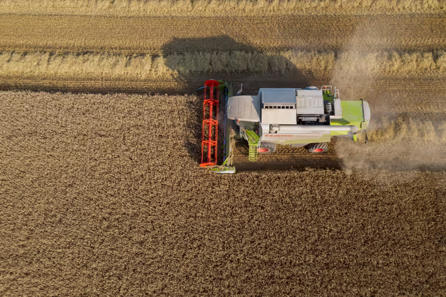 Nuotrauka 11: Barley harvest in Luxembourg, July 22, 2021..