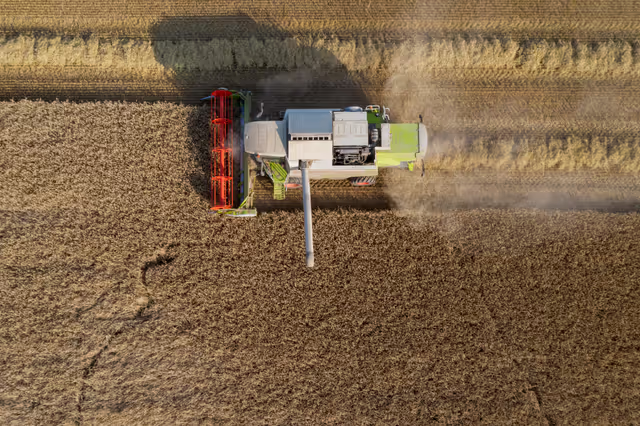 Nuotrauka 26: Barley harvest in Luxembourg, July 22, 2021..