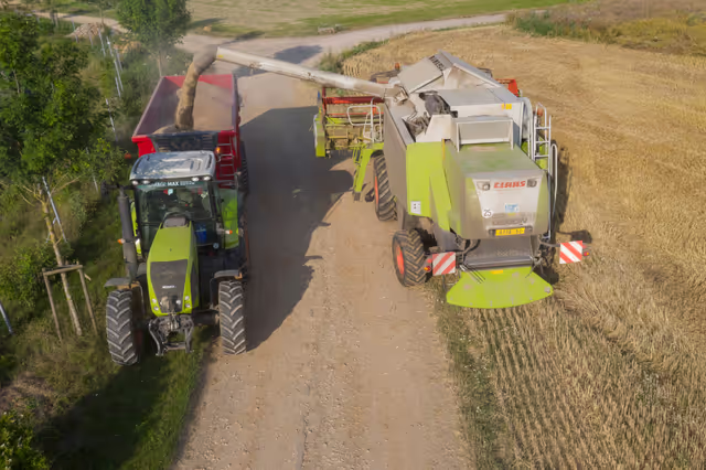 Nuotrauka 13: Barley harvest in Luxembourg, July 22, 2021..