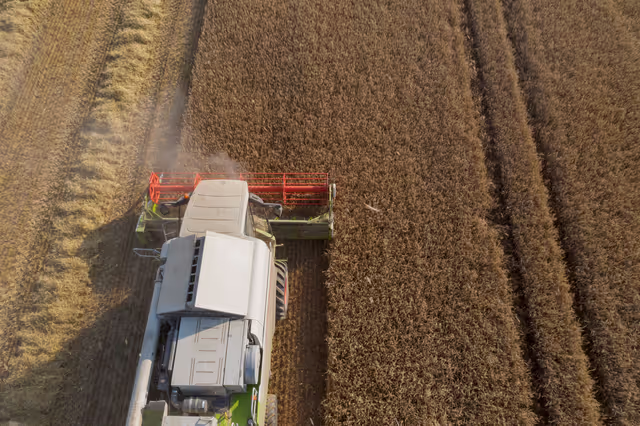 Nuotrauka 18: Barley harvest in Luxembourg, July 22, 2021..