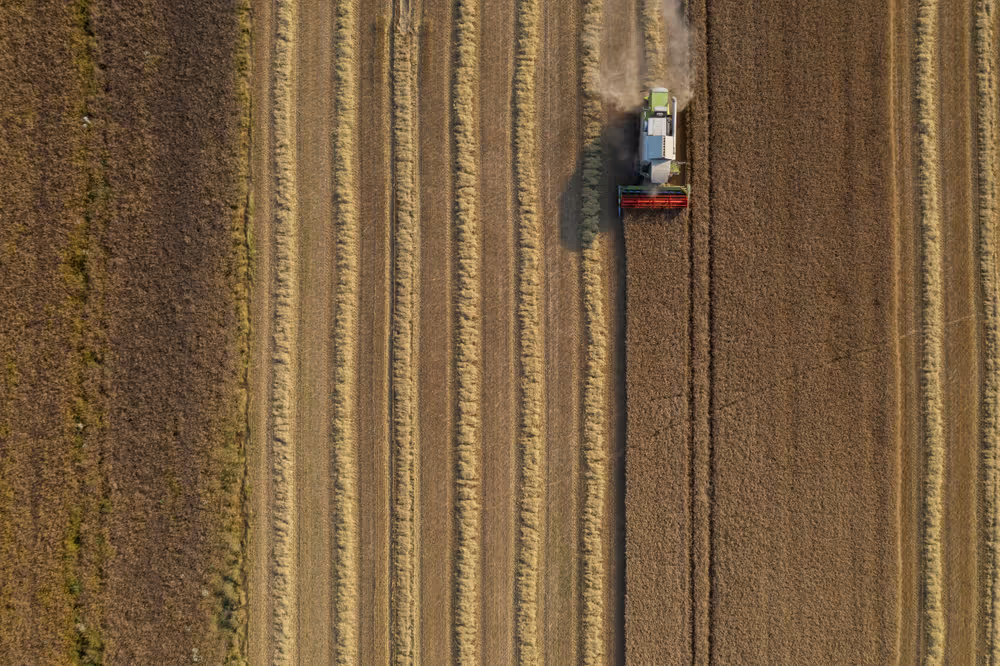 Barley harvest in Luxembourg, July 22, 2021..