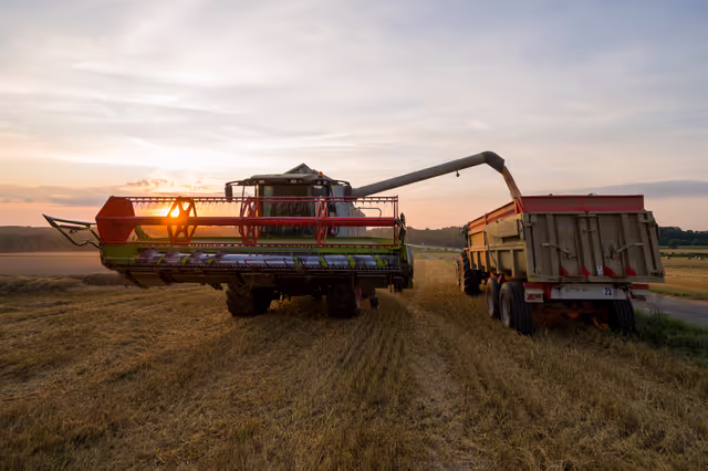 Wheat harvest in Angevillers, France, August 12, 2021
