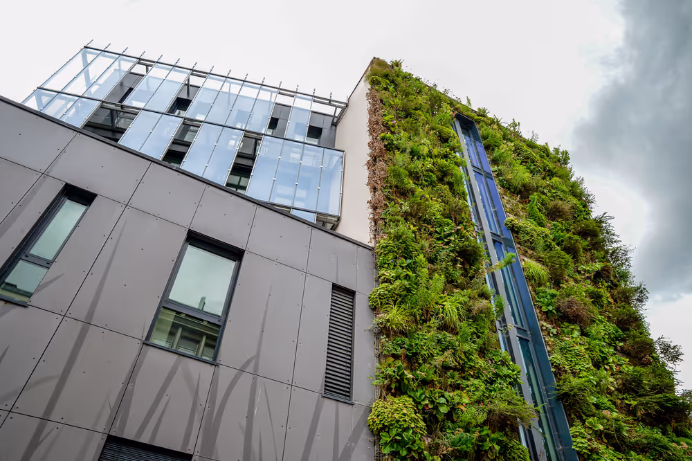 Tourism Strasbourg - Grenning cities