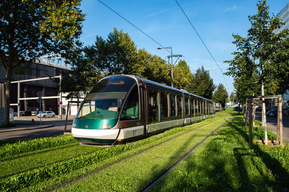 Tourism Strasbourg - Grenning cities