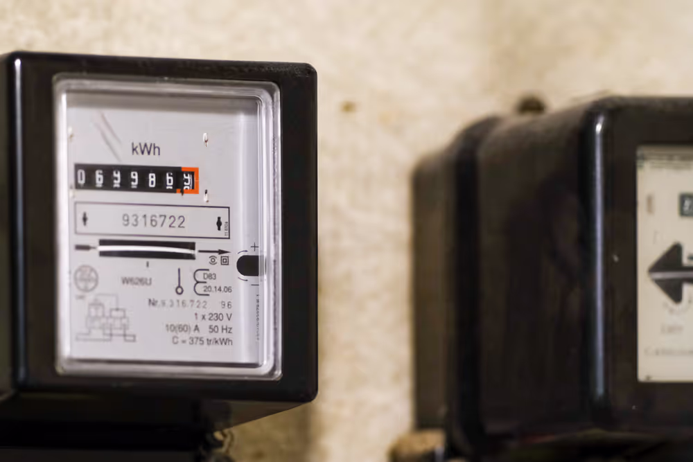 Domestic electric meter device measuring the electrical energy usage of a household
