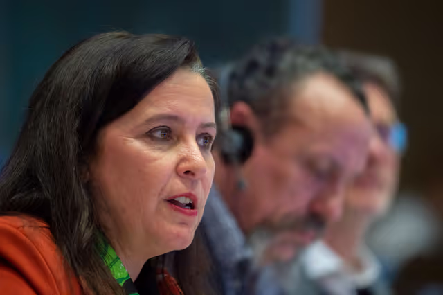 Valokuva 38: ENVI-AGRI-PETI joint committee - Public hearing ' Save bees and farmers! Towards a bee-friendly agriculture for a healthy environment '