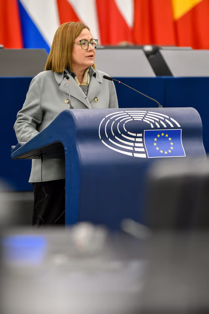 EP Plenary session - Joint debate - Gas emissions