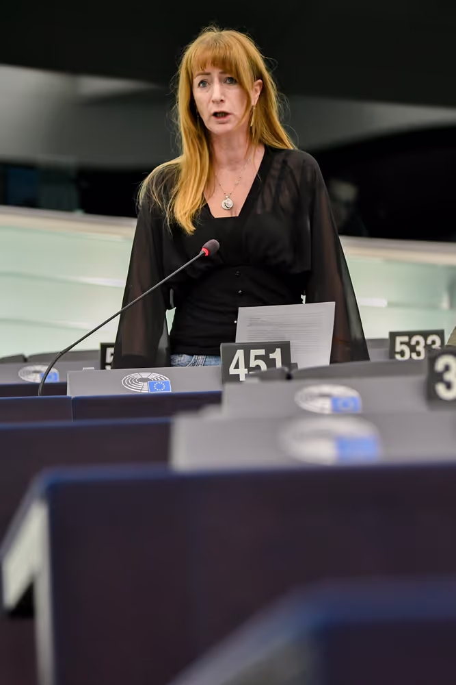 EP Plenary session - Joint debate - Gas emissions