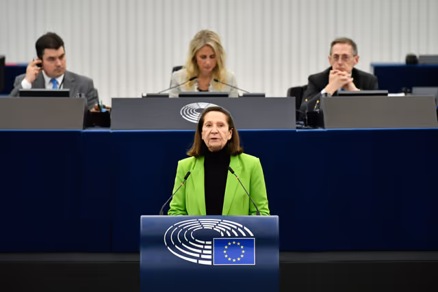 EP Plenary session - Council and Commission statements - Improving the socio-economic situation of farmers and rural areas, ensuring fair incomes, food security as well as a just transition